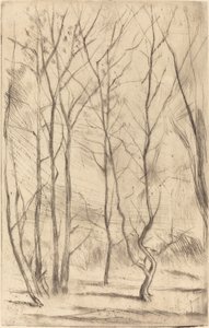 Der Dammwald von James Abbott McNeill Whistler