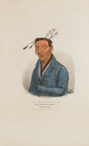 CAW-TAA-WAA-BE-TA oder der Zahnlückige; Ein Chippewa-Häuptling, aus dem Aboriginal Portfolio
