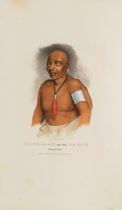 MA-CHE-KA-KAT oder der Böse Falke; Ein Monomonie-Häuptling, aus The Aboriginal Portfolio von James Otto Lewis