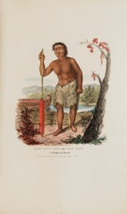 MEN-DOW-MIN oder Der Mais; Ein Chippewa-Zwerg, aus Das Aboriginal Portfolio