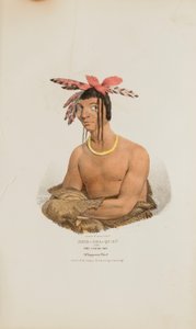 MISH-SHA-QUAT oder der klare Himmel; Ein Chippeway-Häuptling, aus The Aboriginal Portfolio von James Otto Lewis