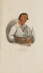 PE-SCHICK-EE; Ein berühmter Chippeway-Häuptling, aus The Aboriginal Portfolio