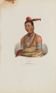 WA-KAUN oder die Schlange; Ein Winnebago-Häuptling, aus The Aboriginal Portfolio