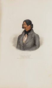 WAA-BA-SHAW; Ein berühmter Sioux-Häuptling, aus The Aboriginal Portfolio von James Otto Lewis