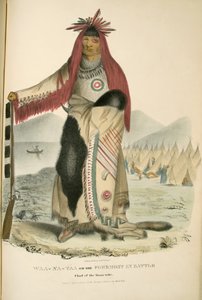 Waa-Na-Taa oder der Vorderste im Kampf von James Otto Lewis