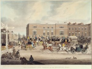 Der Elefant und das Schloss an der Brighton Road von James Pollard