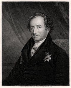 Johann Wolfgang von Goethe, deutscher Dichter, Dramatiker und Wissenschaftler, 19. Jahrhundert