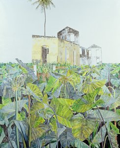Ruine in einem Sumpf, Haiti, 1971 von James Reeve