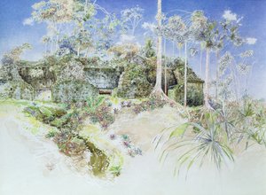 Ruine eines Tempels, Tikal, Guatemala, 1984 von James Reeve
