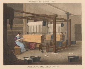 Fortschritt der Baumwolle: #9 - Reeding oder Einziehen von James Richard Barfoot
