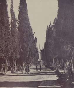 Szene auf dem großen Friedhof von Scutari von James Robertson