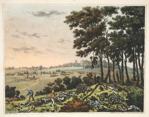 Schloss Hougoumont: Ein Blick auf den Wald am Rande des Schlosses