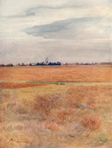 Wimbledon Common