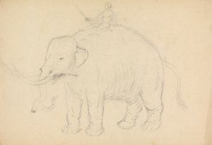 Elefant mit Reiter