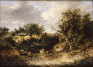 Waldlandschaft von James Stark