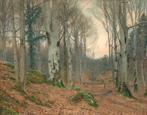Ein walisischer Wald im Winter von James Thomas Watts