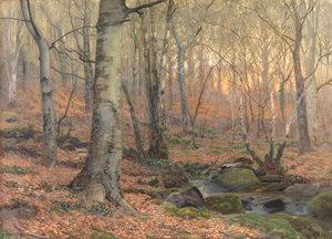 Russet und Grau: ein walisischer Buchenwald