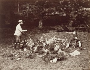 Warten auf die Ponys