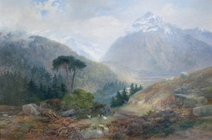 Der Blick auf den Fenderthal, Tirol, 1870 von James Vivien de Fleury