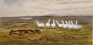 Ein Spiel von Fuchs und Gänsen von James W. Usher
