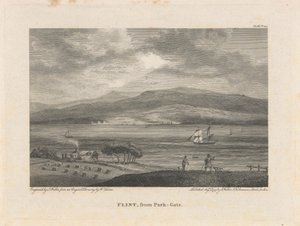 Flint, von Park-Gate von James Walker