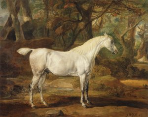Ein grauer arabischer Hengst, Eigentum von Sir Watkin Williams-Wynn, ca. 1815-20 von James Ward