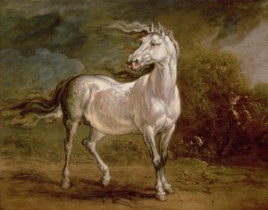 Ein grauer Schimmel in einer Landschaft von James Ward
