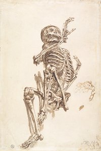 Ein menschliches Skelett (recto) von James Ward