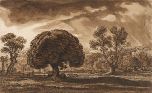 Ein herannahender Sturm von James Ward