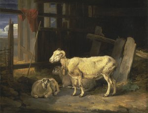 Heide-Schaf und Lämmer von James Ward
