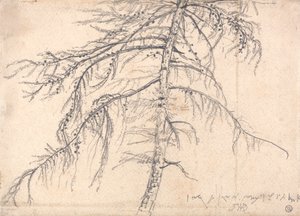 Lärchenbaum von James Ward
