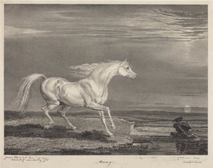  von James Ward