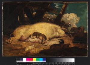 Schweine, nicht vor 1793