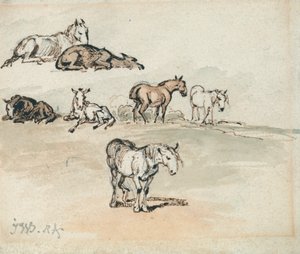 Studien von Pferden von James Ward