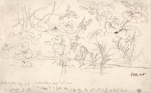 Studien von Pflanzen, 2. August 1815
