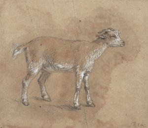 Studie eines Kitzes von James Ward