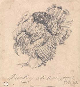 Studie eines Truthahns von James Ward
