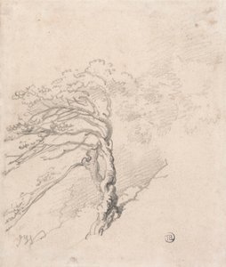 Baum auf einem Hügel von James Ward