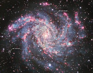 NGC 6946 von James Webb Space Telescope (NASA)
