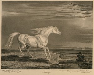 Marengo, aus Berühmte Pferde, eine Serie von vierzehn Rennbildern, veröffentlicht vom Künstler, 1823-24
