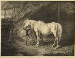 Primel und Fohlen, aus Berühmte Pferde, eine Serie von vierzehn Rennbildern, veröffentlicht vom Künstler, 1823-24 von James after Ward