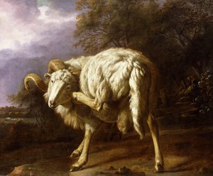 Ein Widder in einer bewaldeten Landschaft von Jan Baptist Weenix