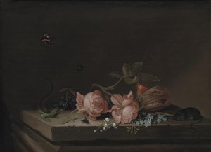 Blumen von Jan Baptist van Fornenburgh