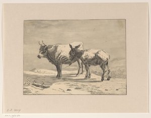 Stier und ein Esel