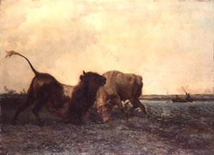 Kämpfende Stiere von Jan Bedys Tom