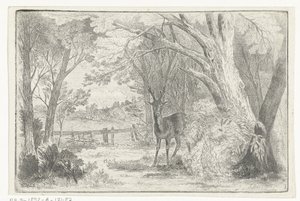 Parklandschaft mit Hirsch