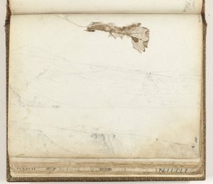 Bucht von St. Helena, getrocknetes Blatt von Jan Brandes