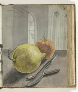 Stillleben mit Früchten, Messer und Bleistift von Jan Brandes