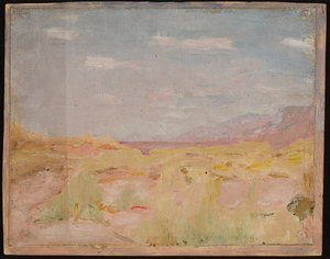 Steppe (Kraj Zakaspijski). Aus einer Reise nach Turkestan von Jan Ciągliński