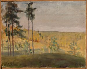 Terioki - Finnland von Jan Ciągliński
